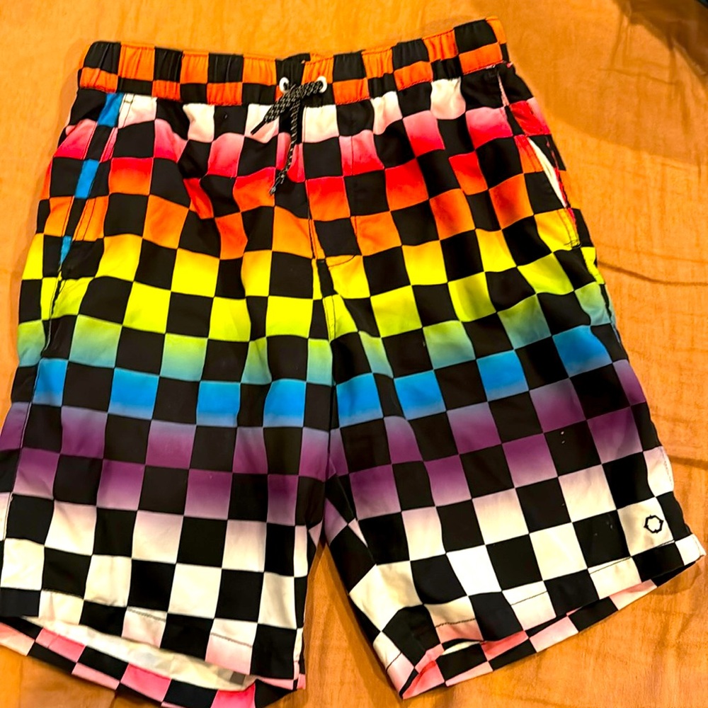 Rainbow swim shorts